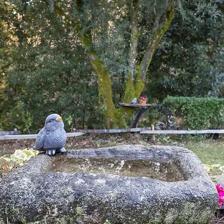 Varanda Do Mouro * Podame