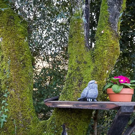 בית כפרי Varanda Do Mouro Podame