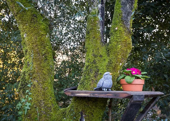 Country house Varanda Do Mouro Podame